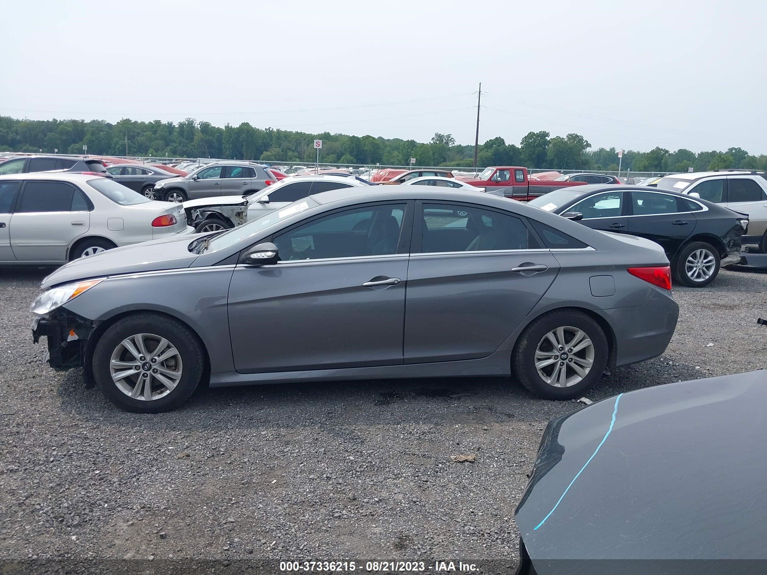 Photo 13 VIN: 5NPEB4AC4EH881327 - HYUNDAI SONATA 