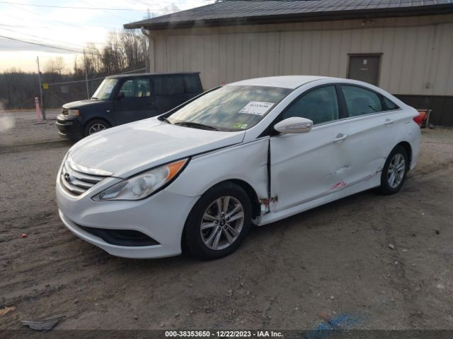 Photo 1 VIN: 5NPEB4AC4EH899004 - HYUNDAI SONATA 