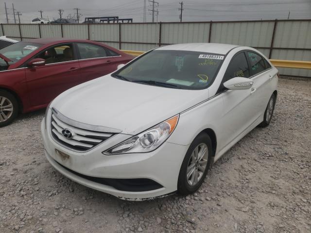 Photo 1 VIN: 5NPEB4AC4EH919588 - HYUNDAI SONATA GLS 