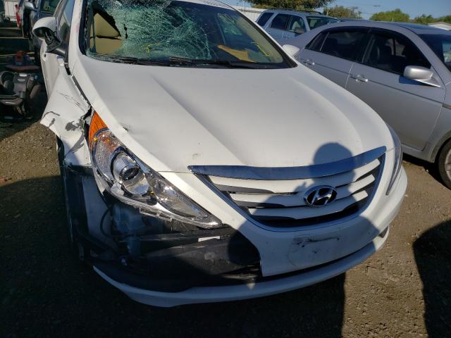 Photo 8 VIN: 5NPEB4AC4EH936326 - HYUNDAI SONATA GLS 