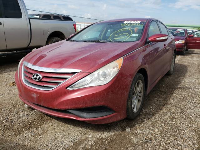 Photo 1 VIN: 5NPEB4AC4EH945205 - HYUNDAI SONATA GLS 