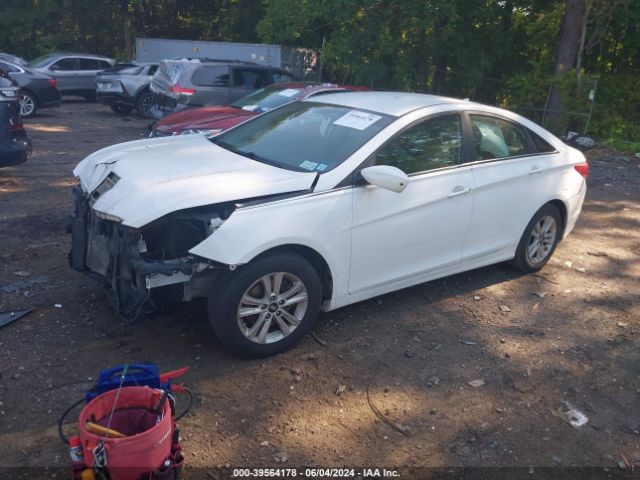 Photo 1 VIN: 5NPEB4AC5DH768419 - HYUNDAI SONATA 