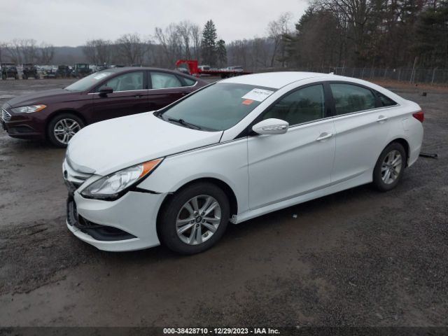 Photo 1 VIN: 5NPEB4AC5EH924914 - HYUNDAI SONATA 