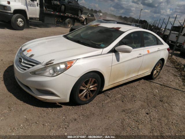 Photo 1 VIN: 5NPEB4AC6DH550571 - HYUNDAI SONATA 