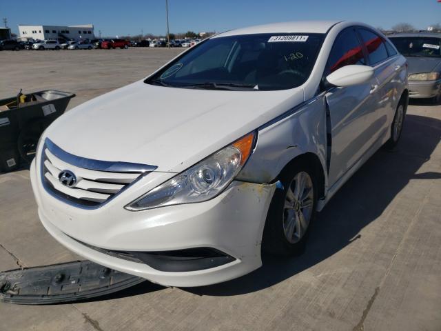 Photo 1 VIN: 5NPEB4AC6EH878736 - HYUNDAI SONATA 