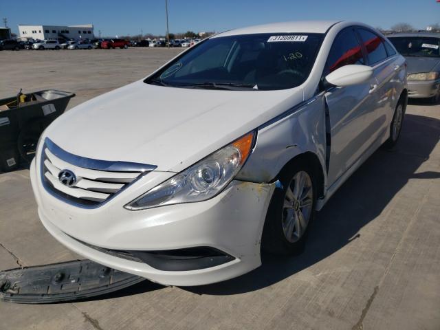 Photo 1 VIN: 5NPEB4AC6EH878736 - HYUNDAI SONATA GLS 