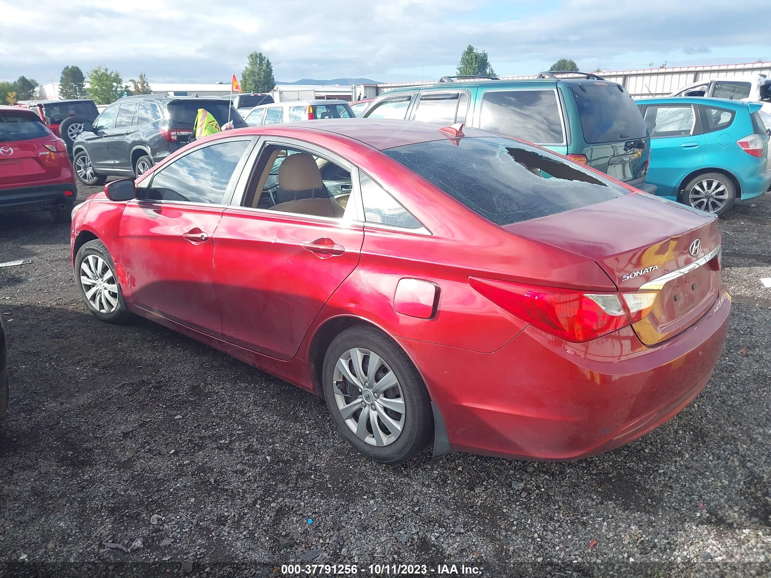 Photo 12 VIN: 5NPEB4AC7DH555293 - HYUNDAI SONATA 