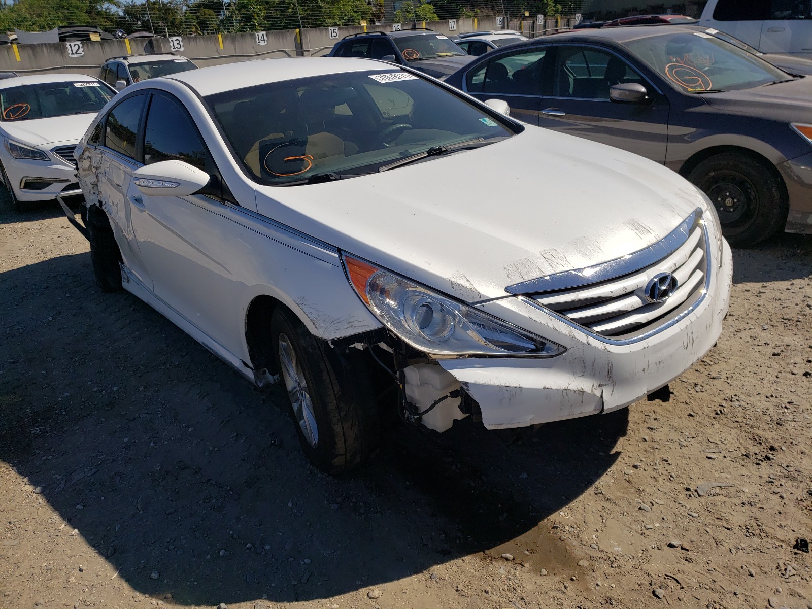 Photo 0 VIN: 5NPEB4AC7EH917883 - HYUNDAI SONATA GLS 