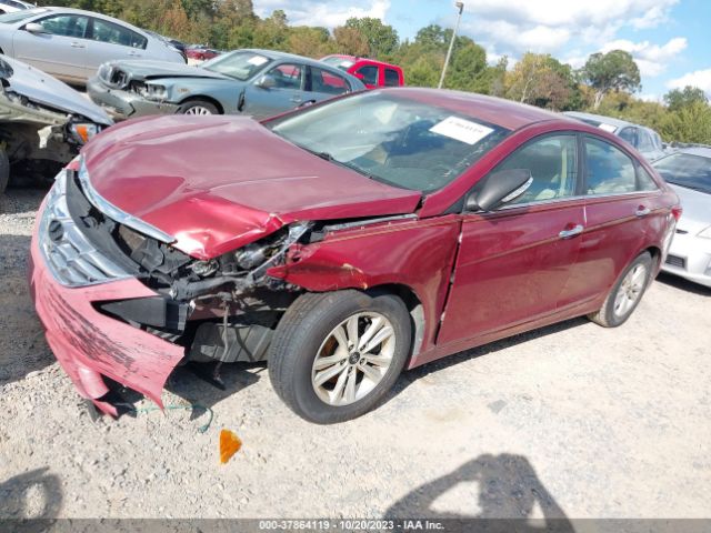 Photo 1 VIN: 5NPEB4AC8DH713995 - HYUNDAI SONATA 