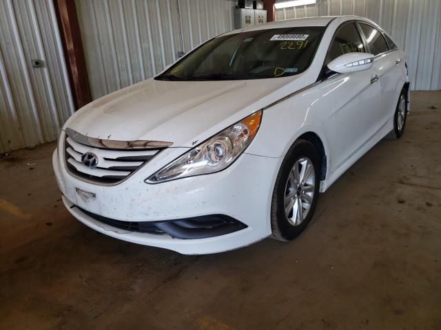 Photo 1 VIN: 5NPEB4AC8EH942291 - HYUNDAI SONATA GLS 