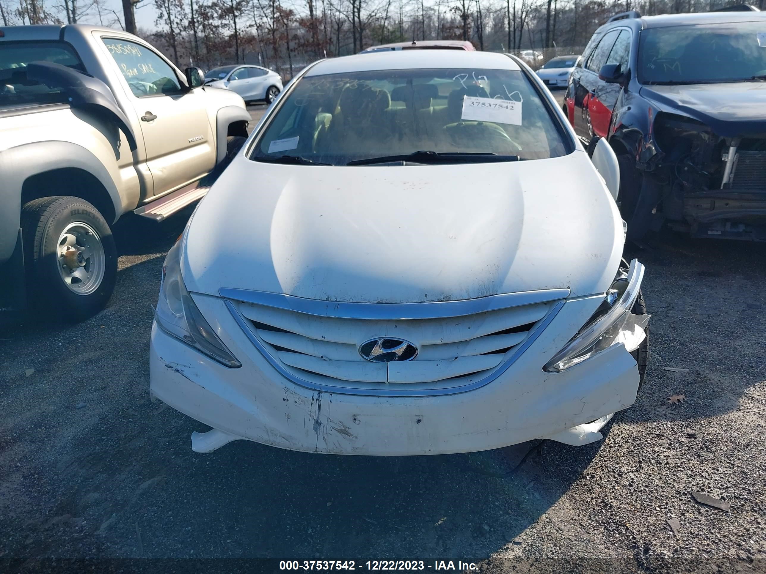 Photo 10 VIN: 5NPEB4AC9DH721166 - HYUNDAI SONATA 