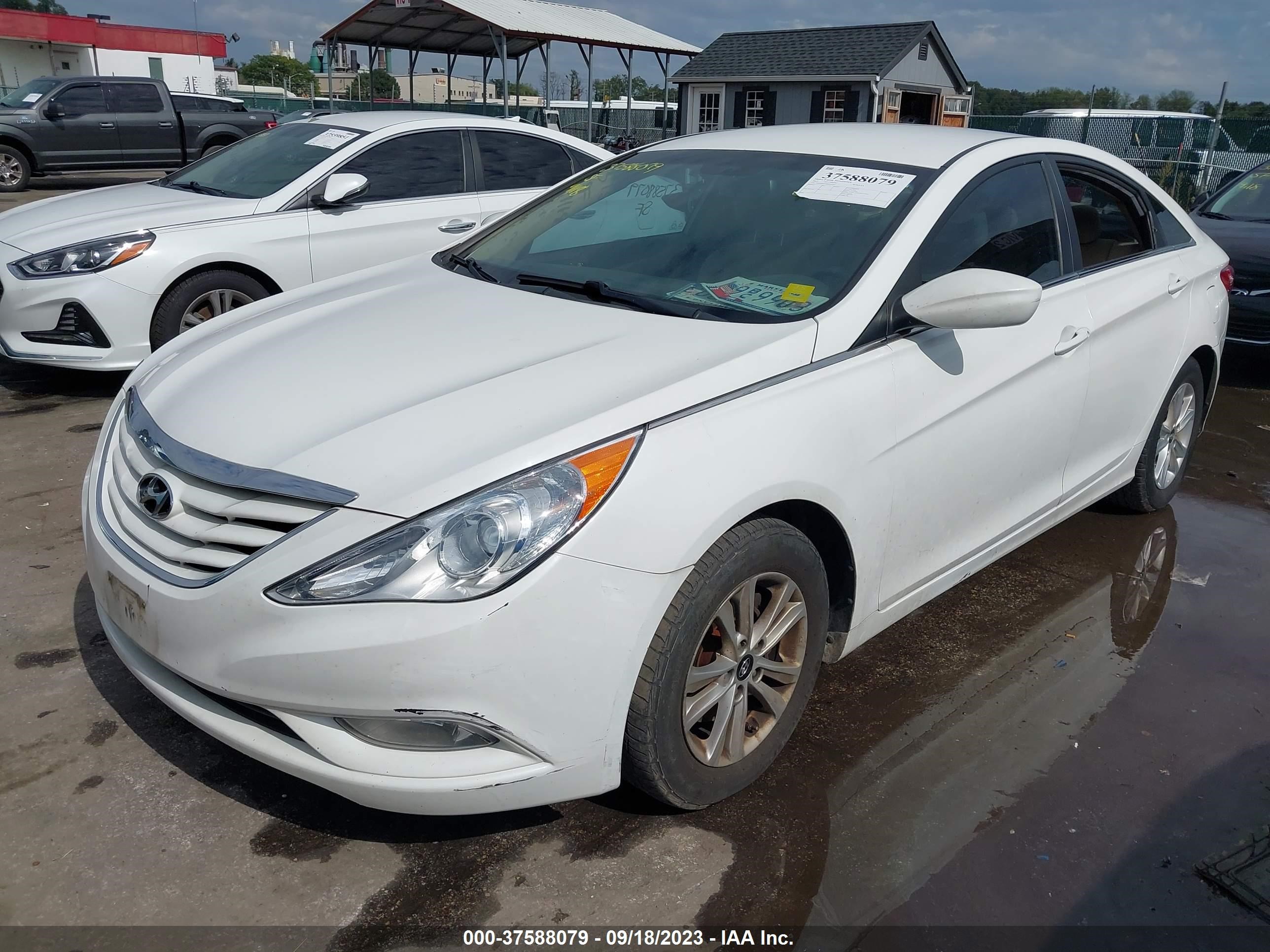 Photo 1 VIN: 5NPEB4AC9DH736203 - HYUNDAI SONATA 