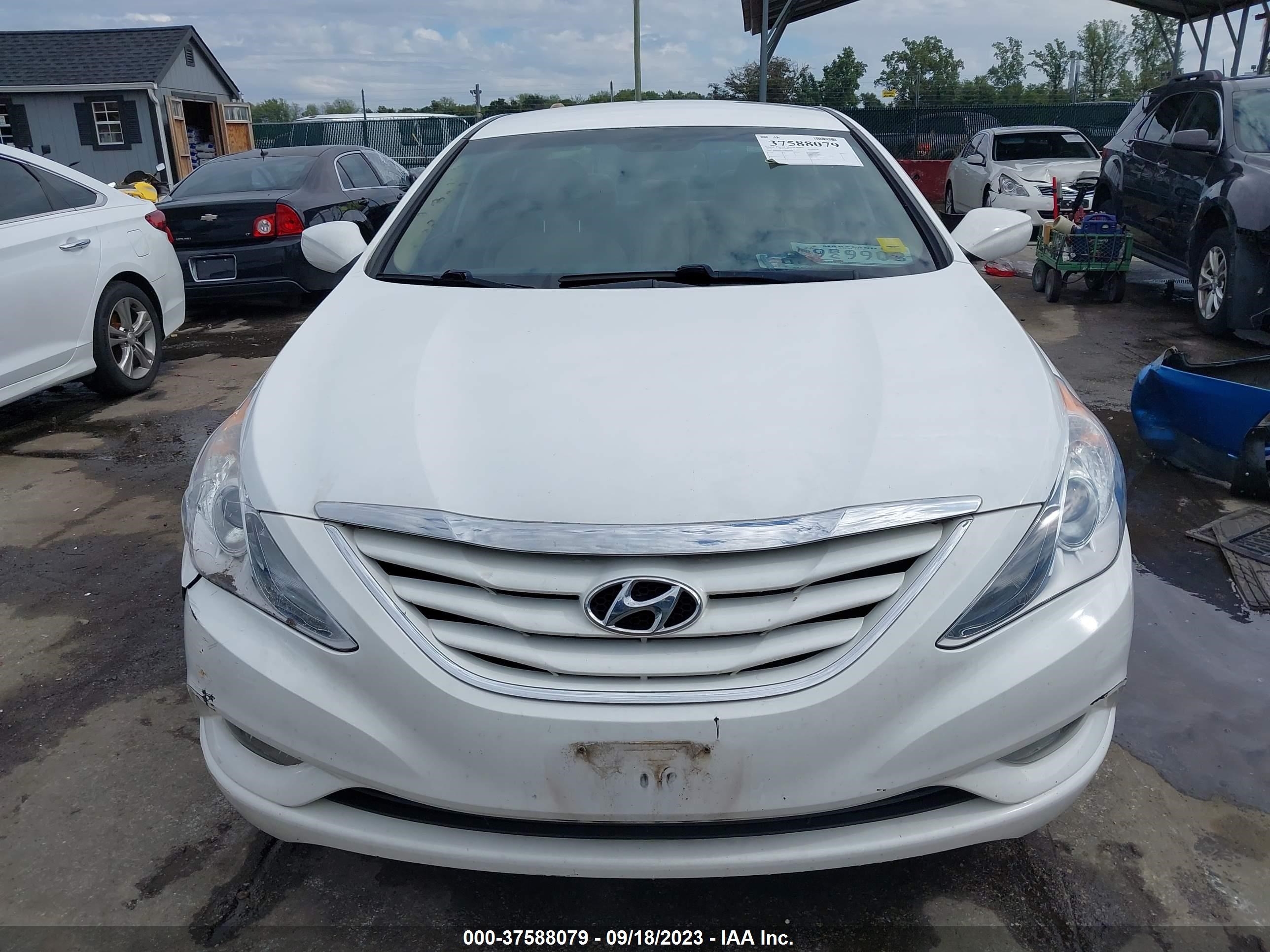 Photo 10 VIN: 5NPEB4AC9DH736203 - HYUNDAI SONATA 