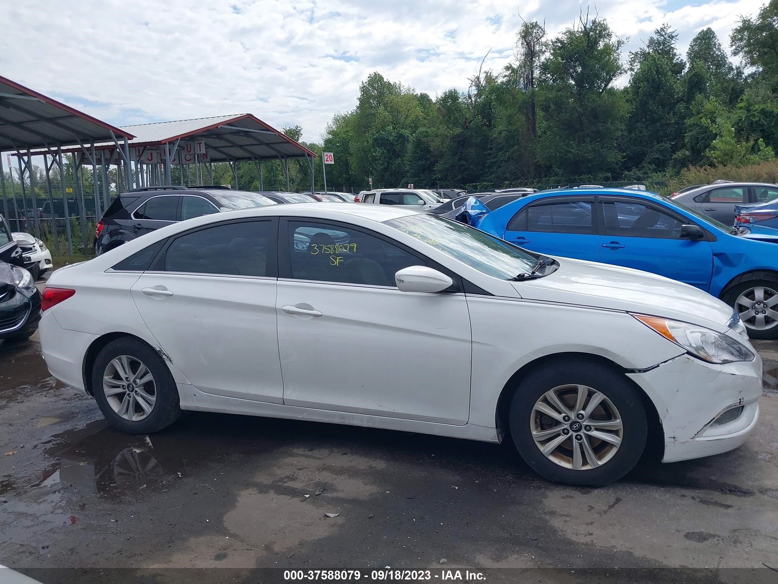 Photo 11 VIN: 5NPEB4AC9DH736203 - HYUNDAI SONATA 