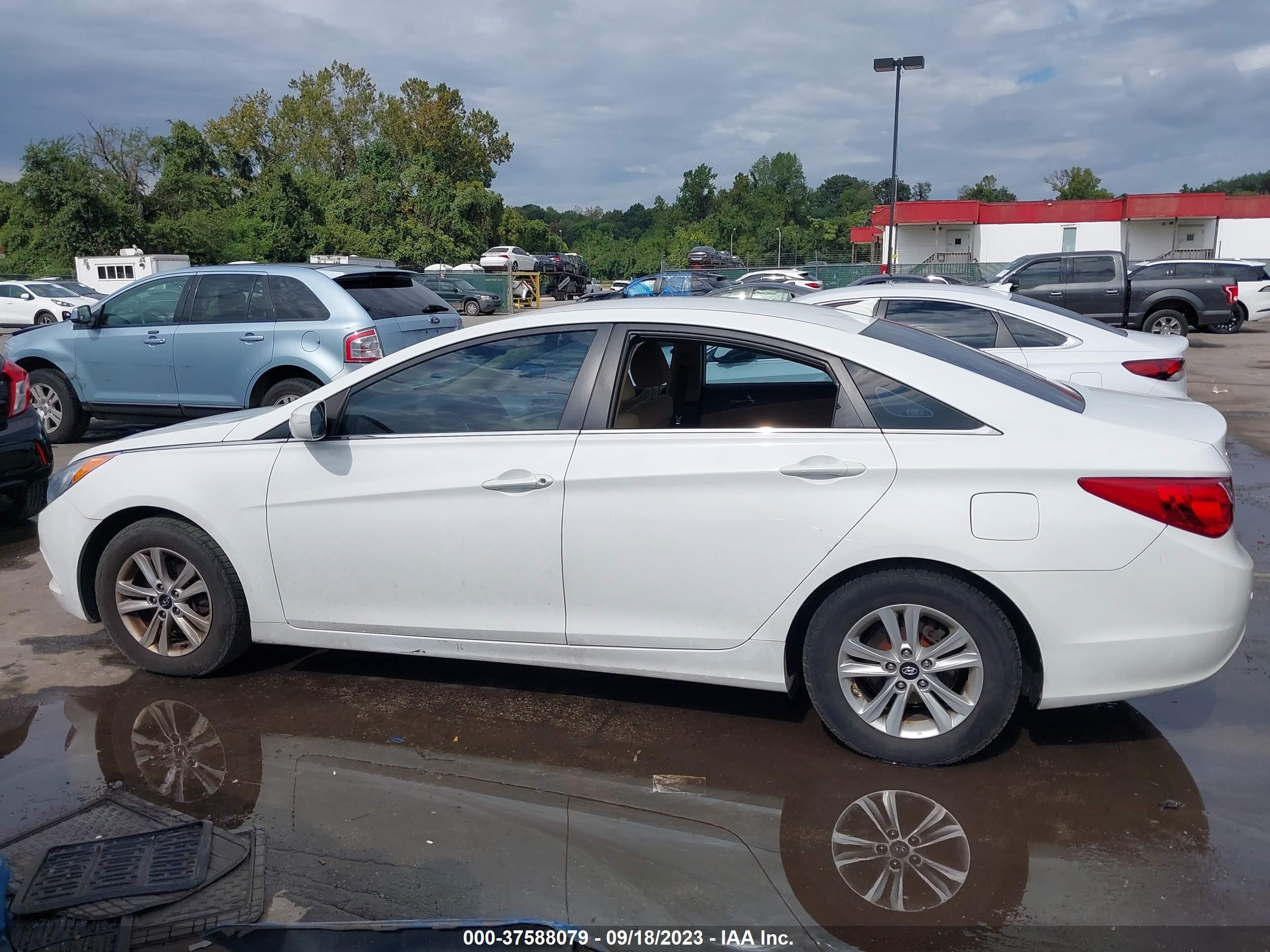 Photo 12 VIN: 5NPEB4AC9DH736203 - HYUNDAI SONATA 