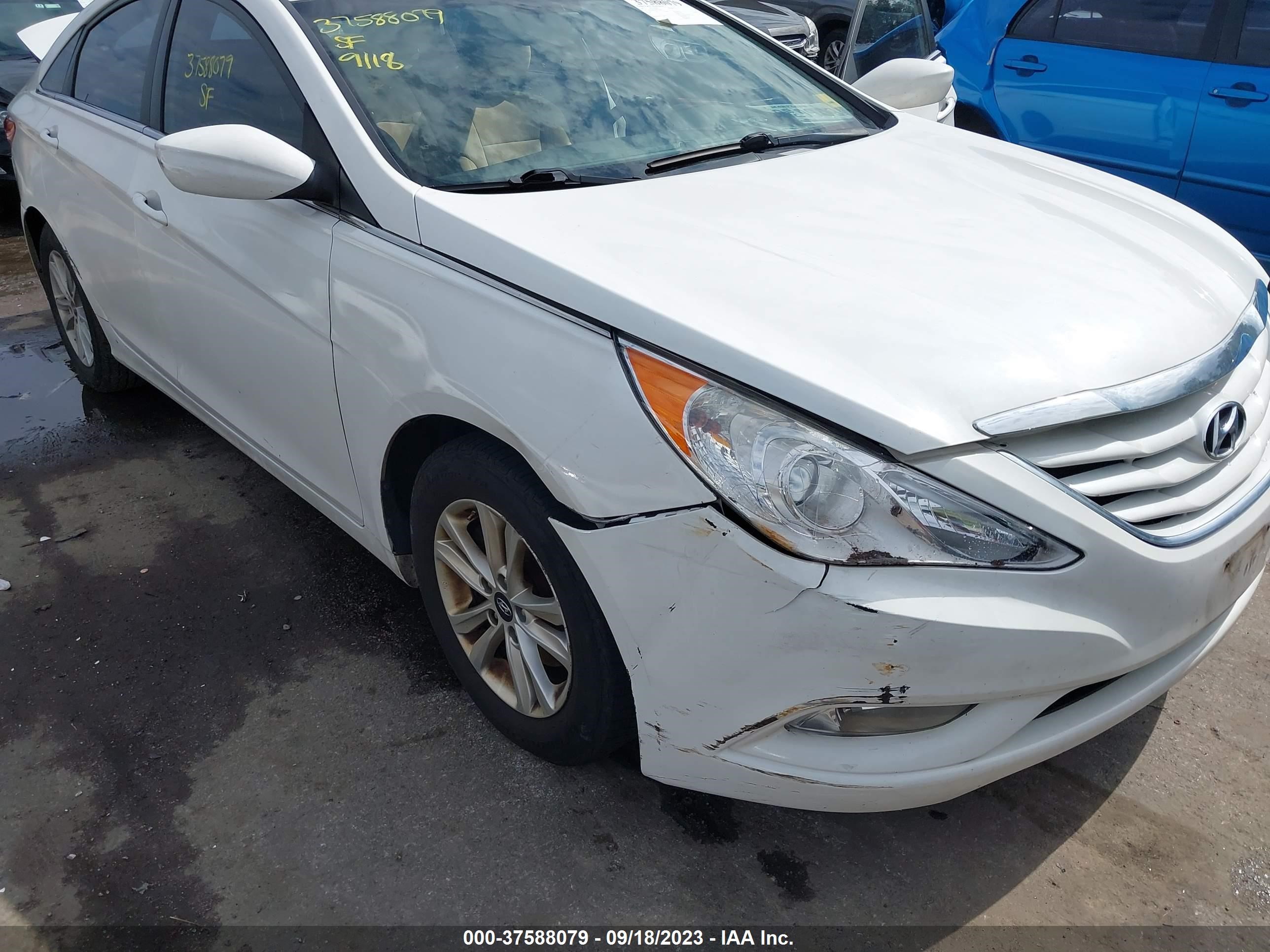 Photo 5 VIN: 5NPEB4AC9DH736203 - HYUNDAI SONATA 