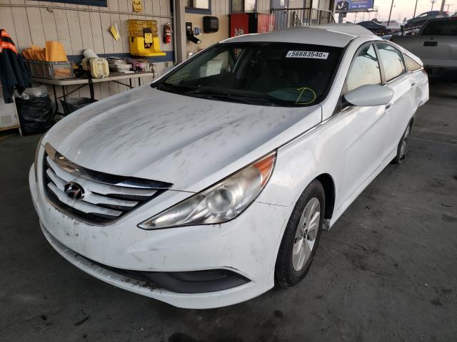 Photo 1 VIN: 5NPEB4AC9EH813587 - HYUNDAI SONATA GLS 