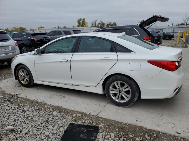 Photo 1 VIN: 5NPEB4AC9EH833953 - HYUNDAI SONATA GLS 