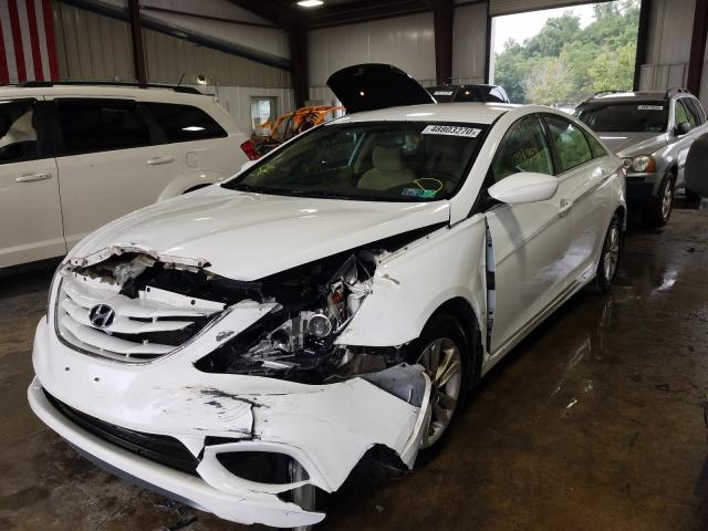 Photo 1 VIN: 5NPEB4ACXDH557796 - HYUNDAI SONATA 