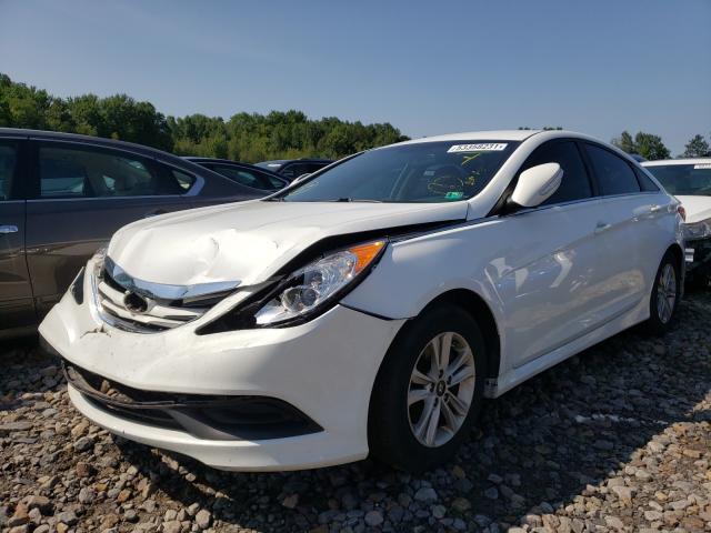 Photo 1 VIN: 5NPEB4ACXEH867206 - HYUNDAI SONATA GLS 