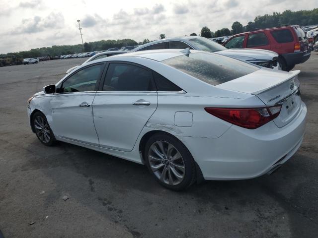 Photo 1 VIN: 5NPEC4AB0CH446905 - HYUNDAI SONATA SE 