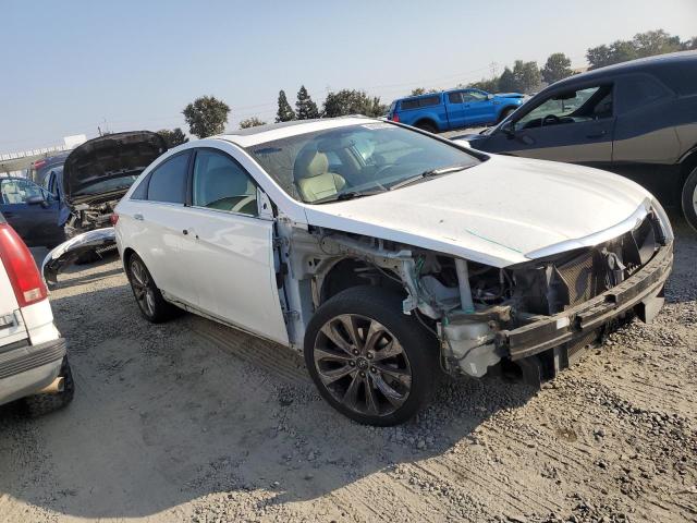 Photo 3 VIN: 5NPEC4AB0DH517313 - HYUNDAI SONATA SE 