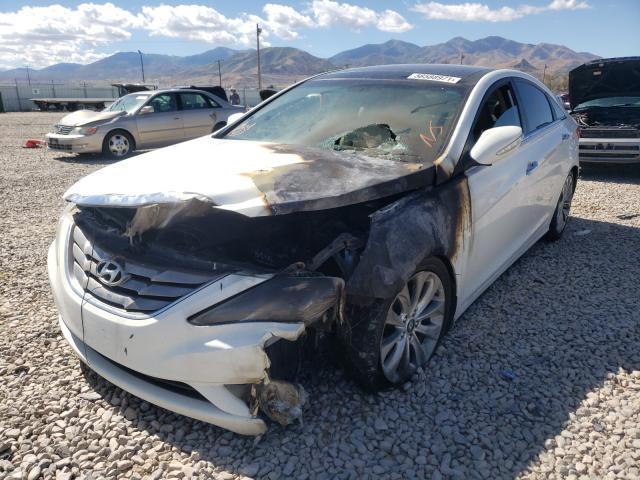 Photo 1 VIN: 5NPEC4AB0DH553163 - HYUNDAI SONATA SE 