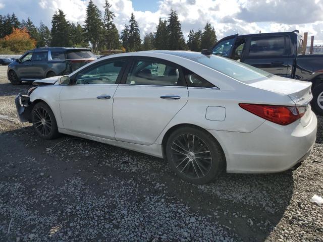 Photo 1 VIN: 5NPEC4AB1DH548067 - HYUNDAI SONATA SE 