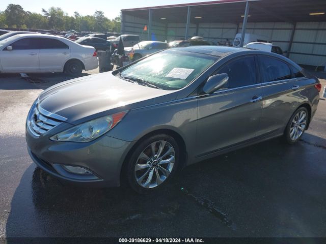 Photo 1 VIN: 5NPEC4AB2DH559983 - HYUNDAI SONATA 