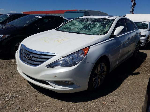 Photo 1 VIN: 5NPEC4AB4BH188791 - HYUNDAI SONATA SE 