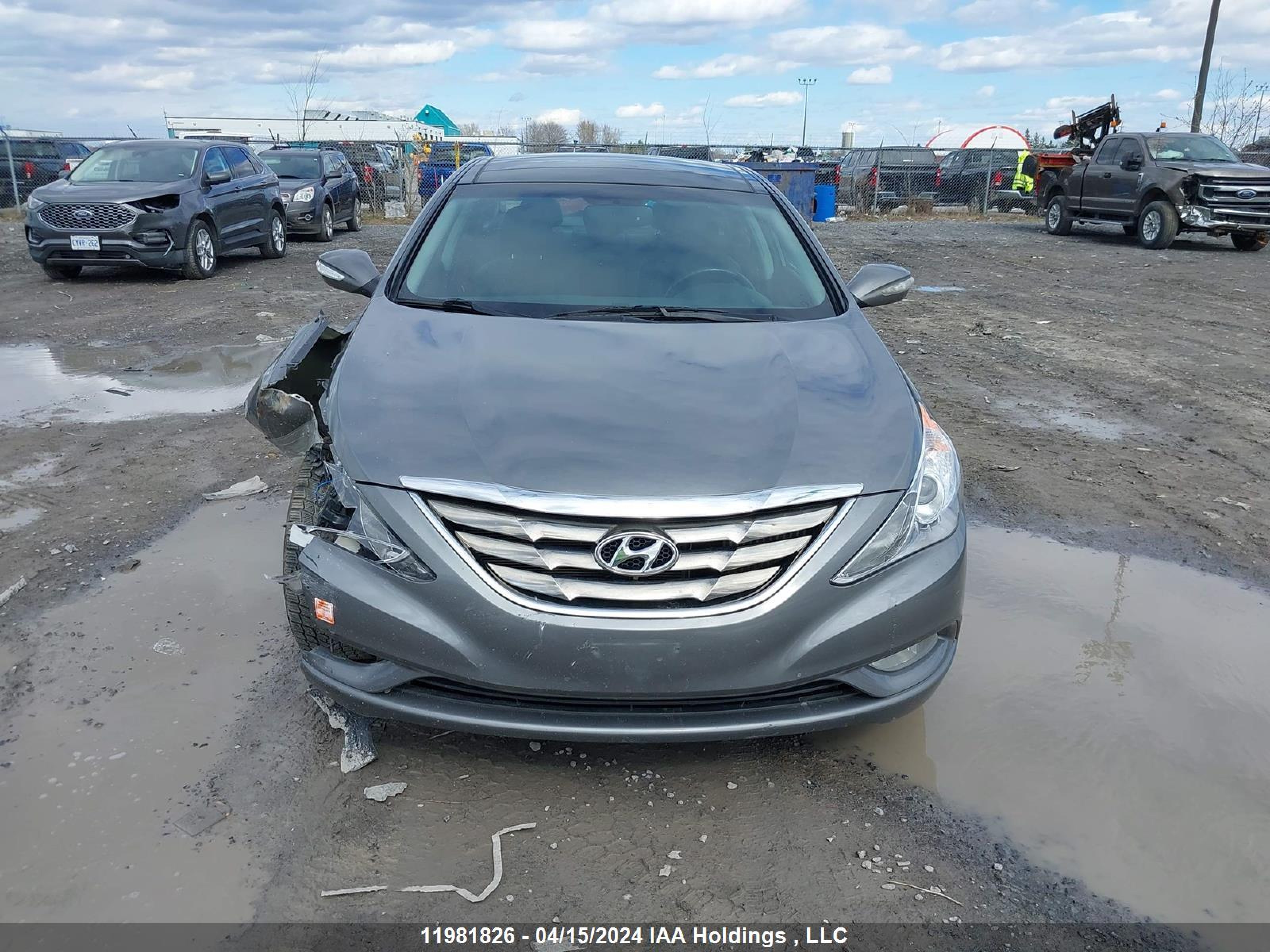 Photo 11 VIN: 5NPEC4AB4DH735965 - HYUNDAI SONATA 