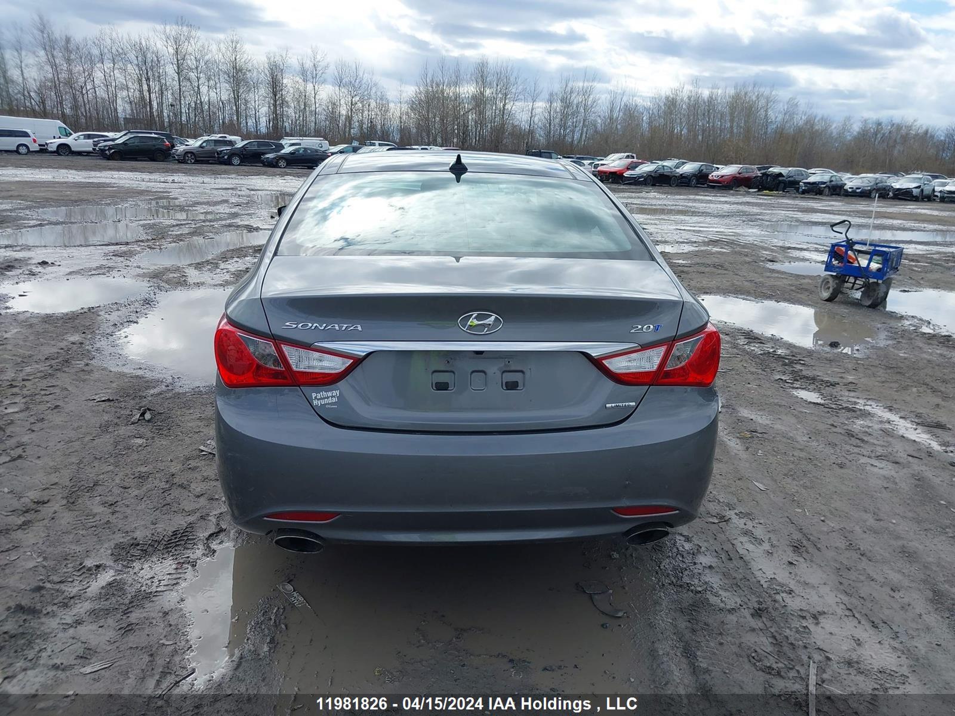 Photo 14 VIN: 5NPEC4AB4DH735965 - HYUNDAI SONATA 