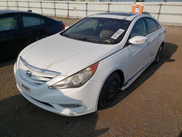 Photo 1 VIN: 5NPEC4AB5BH276250 - HYUNDAI SONATA 