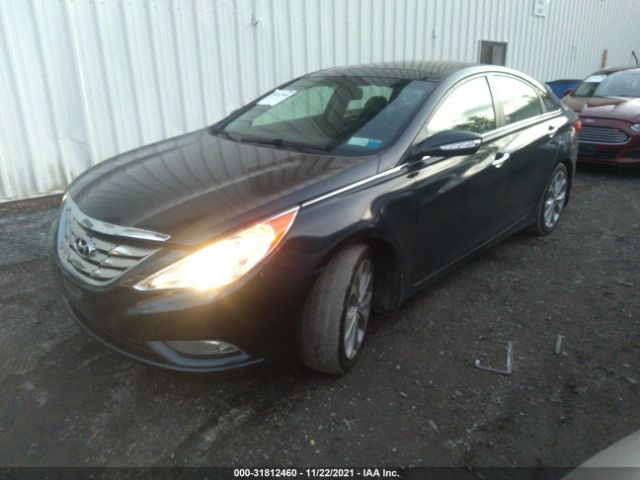 Photo 1 VIN: 5NPEC4AB5DH659382 - HYUNDAI SONATA 