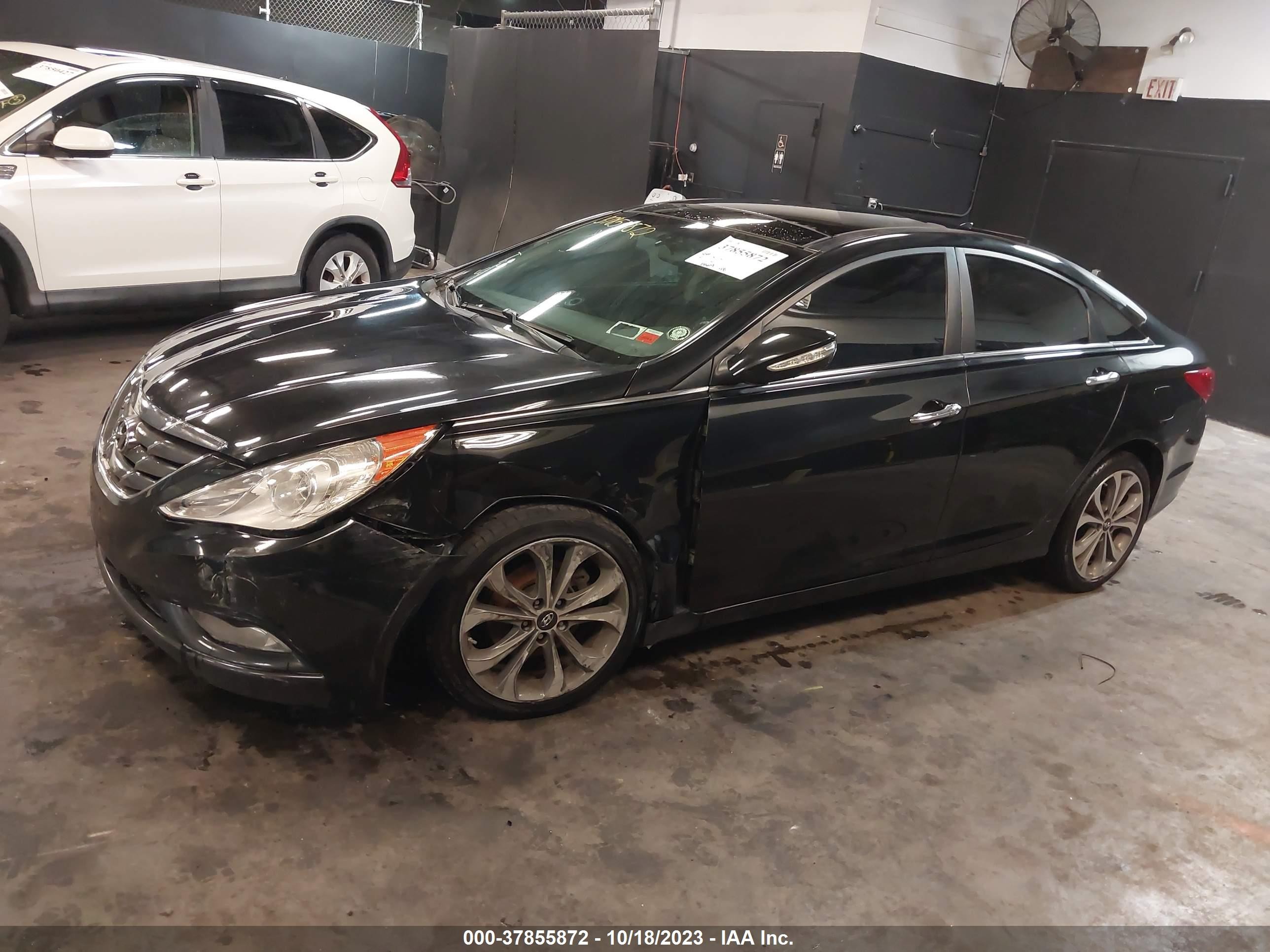 Photo 13 VIN: 5NPEC4AB5DH690261 - HYUNDAI SONATA 