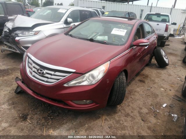 Photo 1 VIN: 5NPEC4AB6BH219586 - HYUNDAI SONATA 