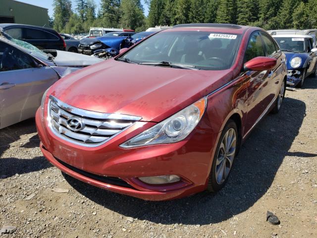 Photo 1 VIN: 5NPEC4AB7DH615125 - HYUNDAI SONATA SE 