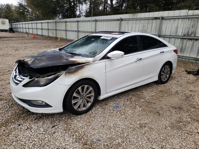 Photo 0 VIN: 5NPEC4ABXEH936321 - HYUNDAI SONATA SE 