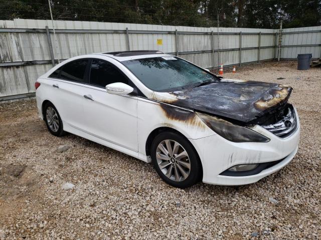 Photo 3 VIN: 5NPEC4ABXEH936321 - HYUNDAI SONATA SE 