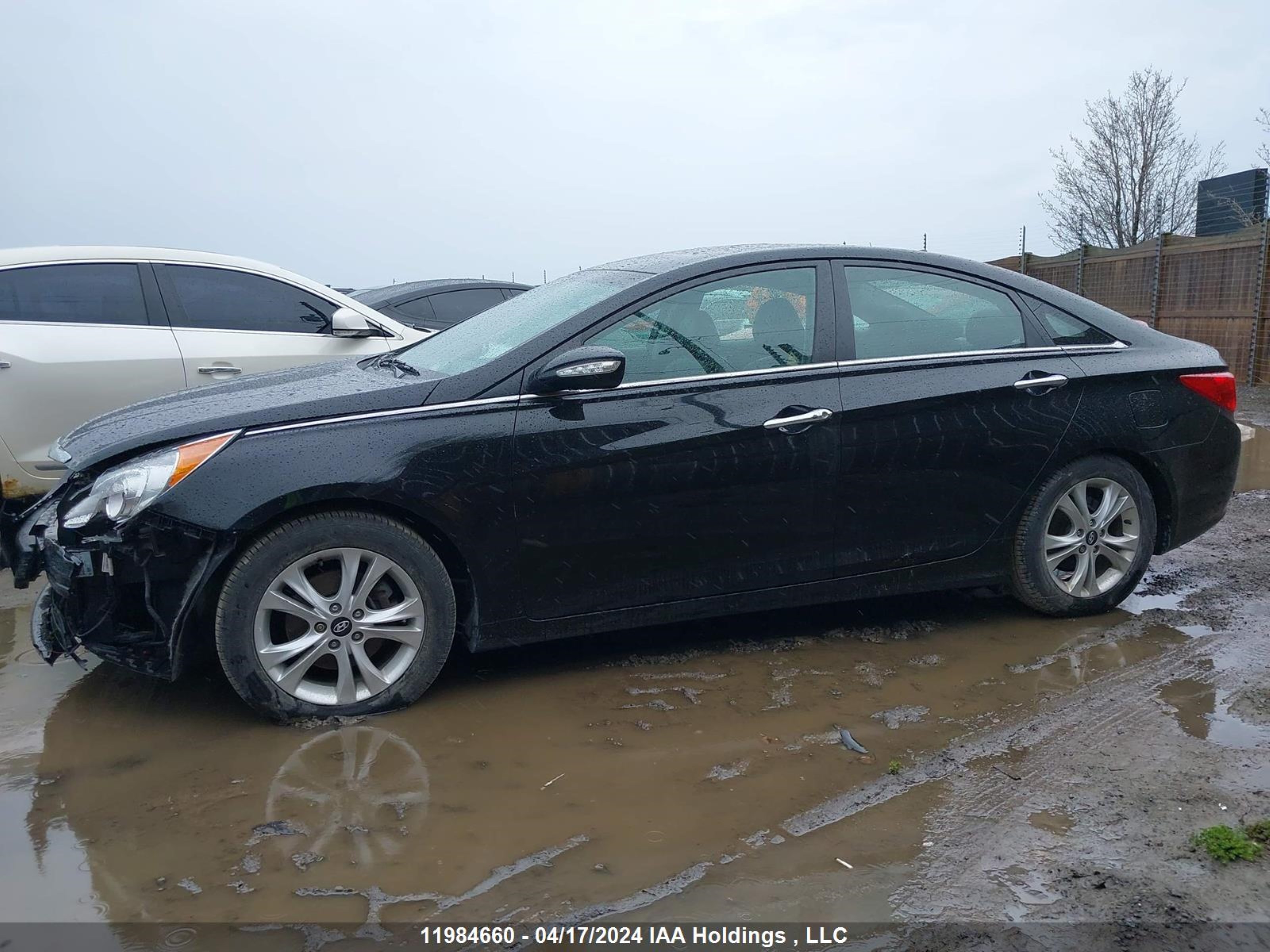 Photo 14 VIN: 5NPEC4AC0DH574183 - HYUNDAI SONATA 