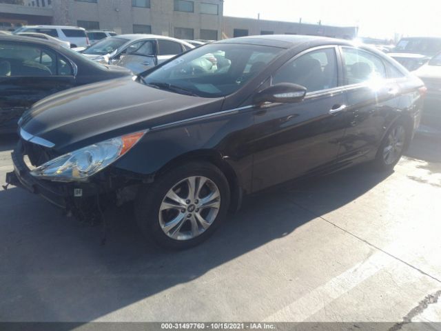 Photo 1 VIN: 5NPEC4AC0DH581344 - HYUNDAI SONATA 