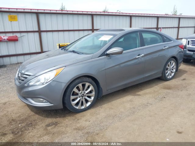 Photo 1 VIN: 5NPEC4AC0DH739181 - HYUNDAI SONATA 