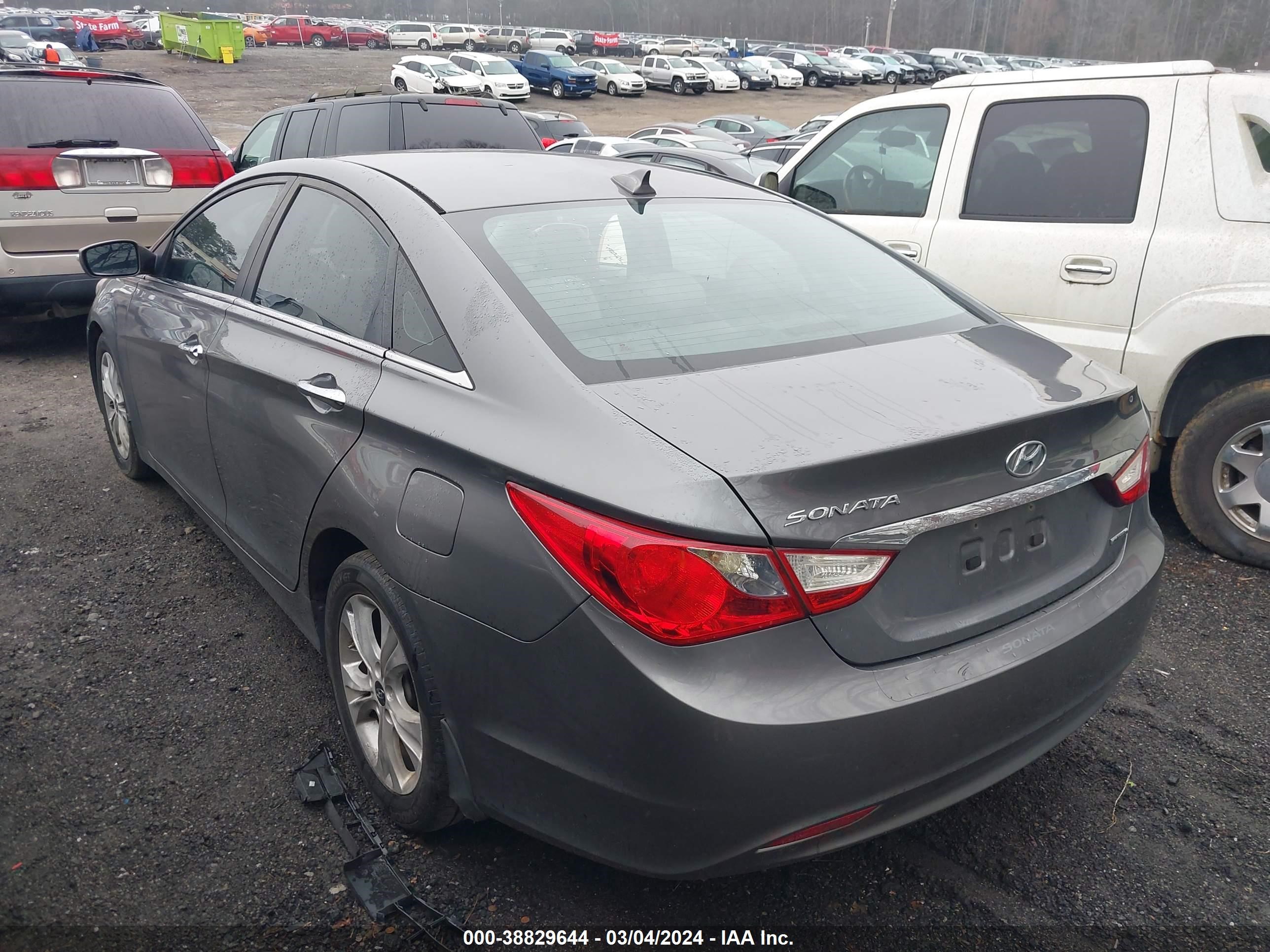 Photo 2 VIN: 5NPEC4AC0DH800562 - HYUNDAI SONATA 