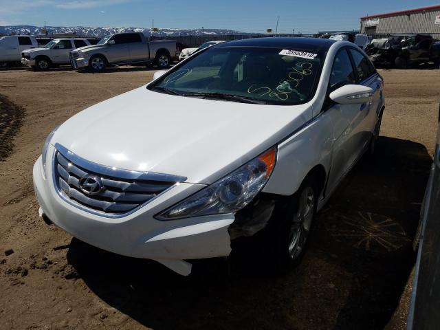 Photo 1 VIN: 5NPEC4AC0DH805065 - HYUNDAI SONATA SE 