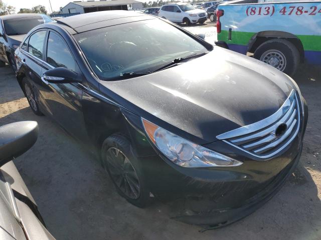 Photo 3 VIN: 5NPEC4AC0EH912876 - HYUNDAI SONATA SE 