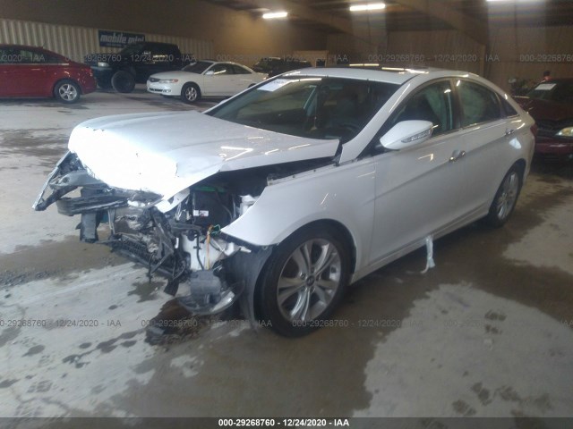 Photo 1 VIN: 5NPEC4AC1BH099804 - HYUNDAI SONATA 