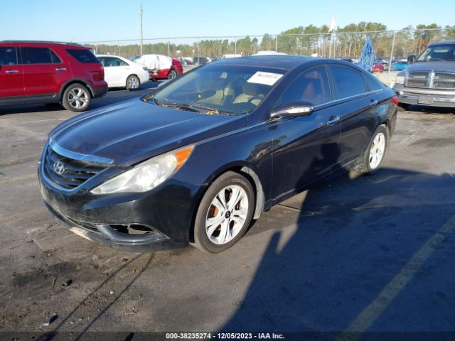 Photo 1 VIN: 5NPEC4AC1BH117962 - HYUNDAI SONATA 