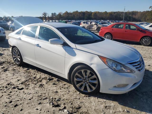 Photo 3 VIN: 5NPEC4AC1BH122823 - HYUNDAI SONATA SE 