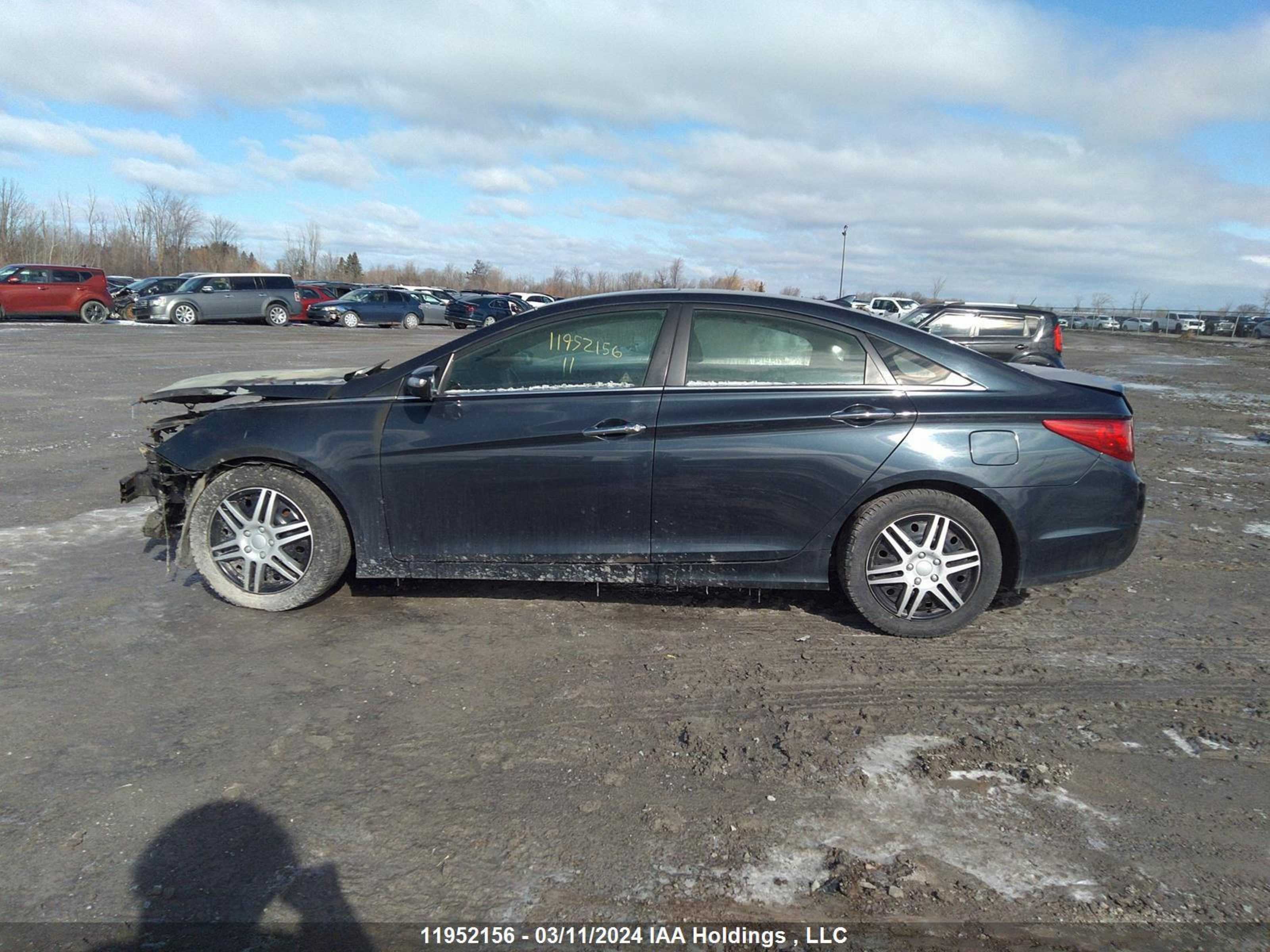 Photo 12 VIN: 5NPEC4AC1BH202574 - HYUNDAI SONATA 