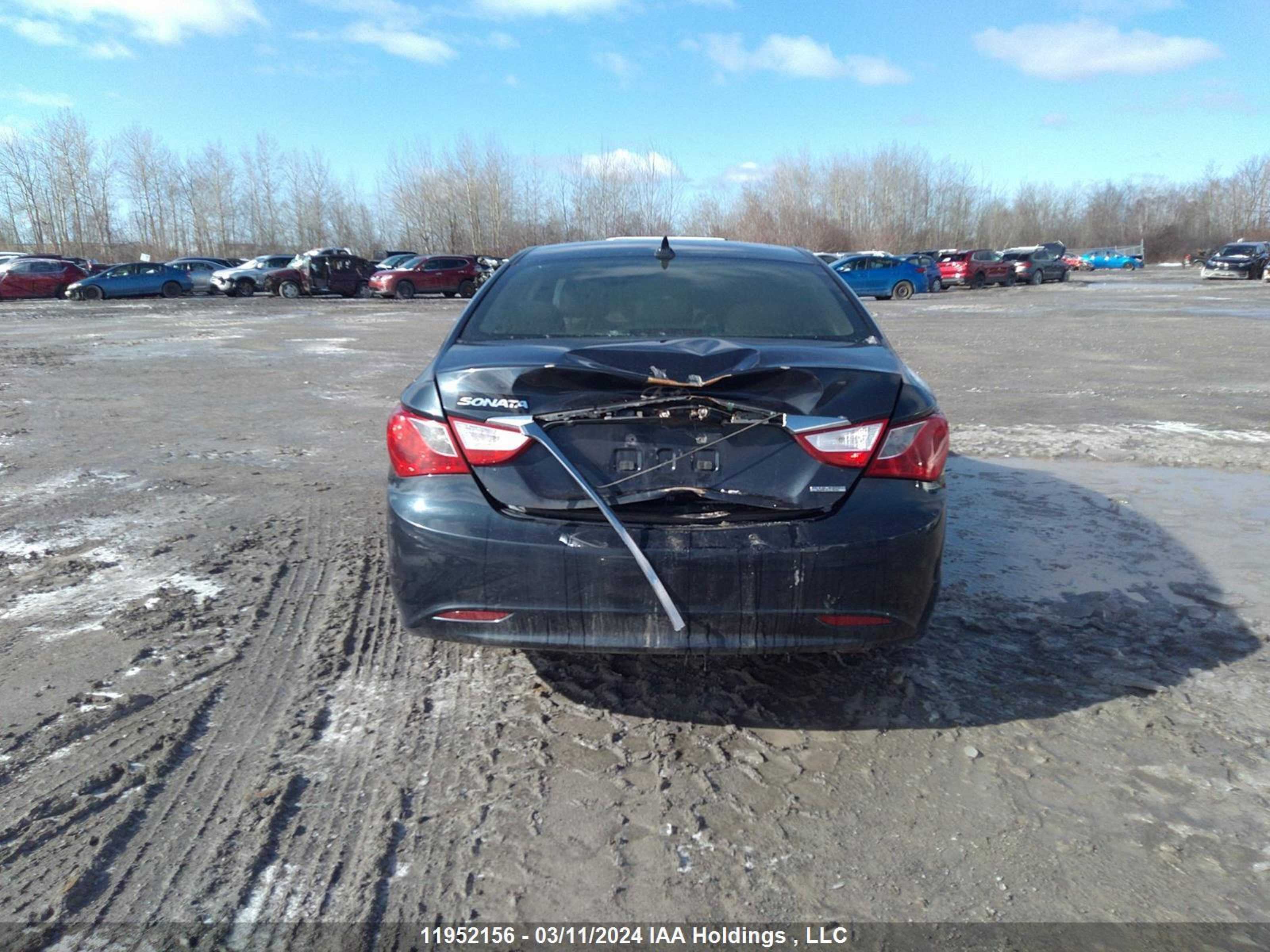 Photo 13 VIN: 5NPEC4AC1BH202574 - HYUNDAI SONATA 